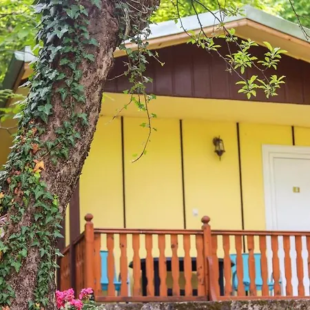 Gasthuis Homely Bungalow Fro 2 Or 3 Persons 3*