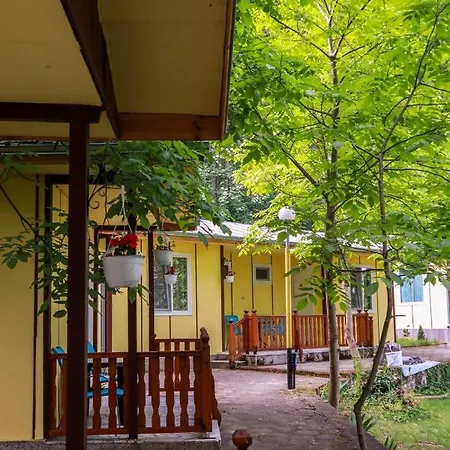 Homely Bungalow Fro 2 Or 3 Persons Gasthuis